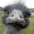 Avatar de danura