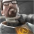 Avatar de snort84