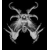 Avatar de Chirurgien
