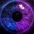 Avatar de MerrickSimms
