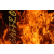 Avatar de skeezo